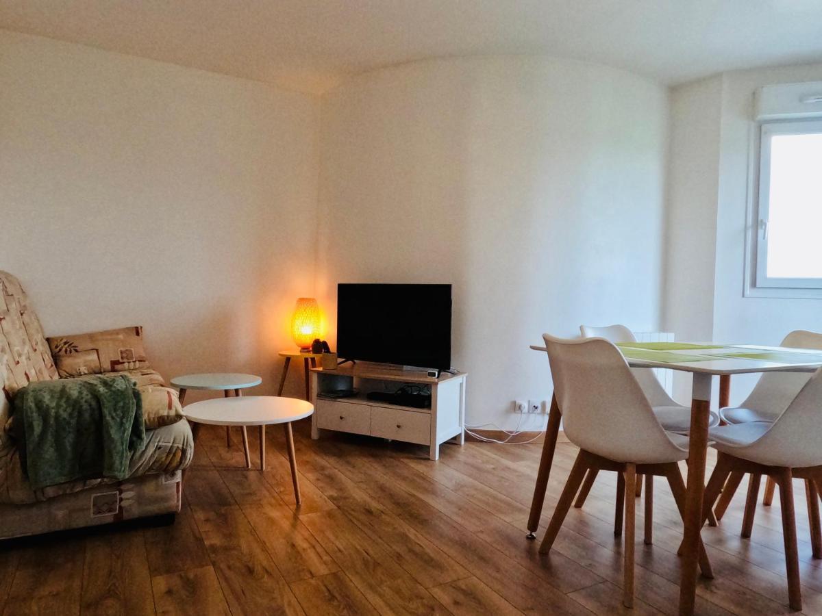 Appartement Cosy Joué-lés-Tours Zewnętrze zdjęcie